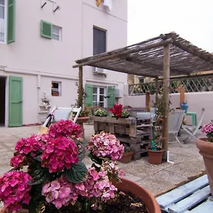 200metri Dal Mare Raffinato Chalet Con Giardino , Marina Di Pisa Italia